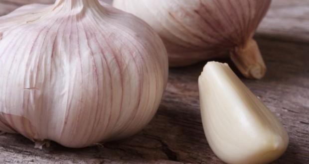 alho-beneficios