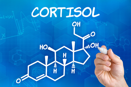 Dieta para quem tem cortisol alto