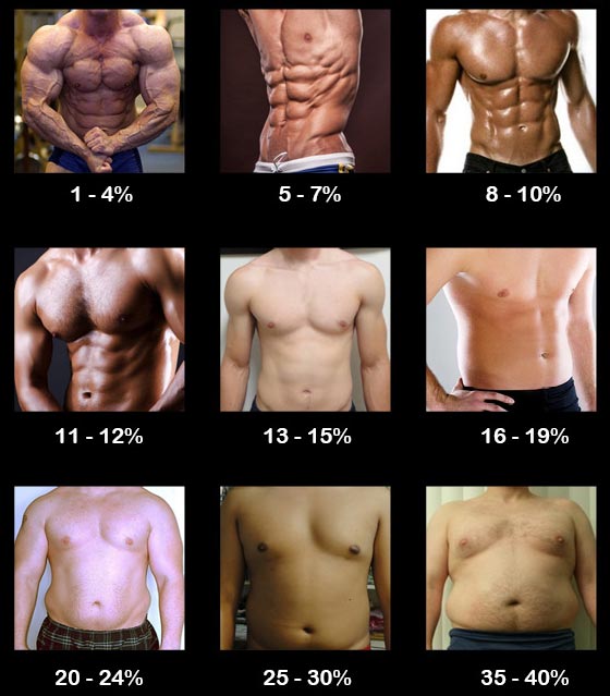 Como identificar rápido seu percentual de gordura corporal - MundoBoaForma