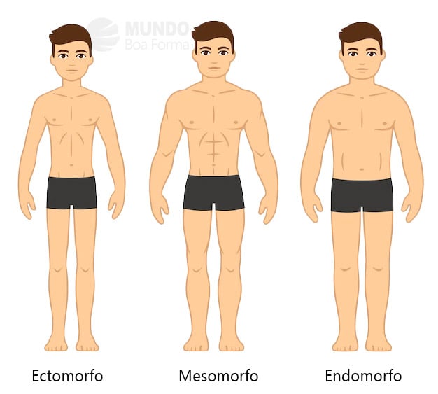 diagrama de tipos de corpo masculino ectomorfo mesomorfo e endomorfo