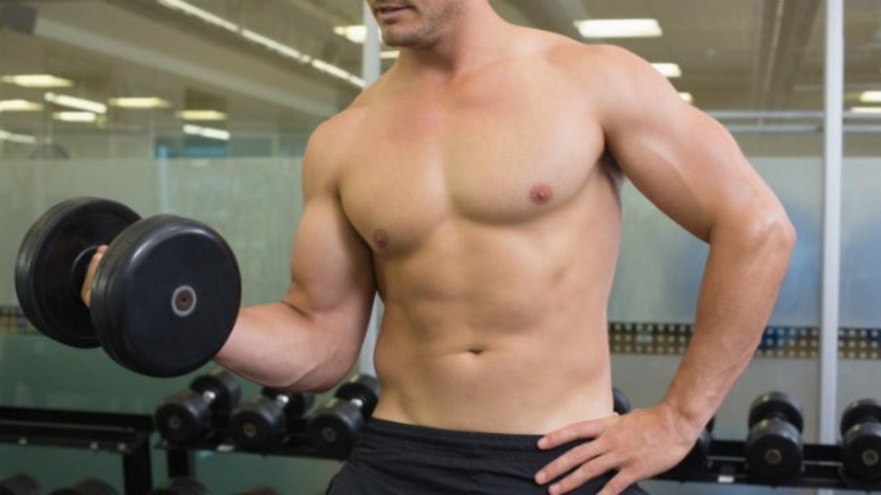 dieta bulking hipertrofia ectomorfo dieta bulking hipertrofia ectomorfo