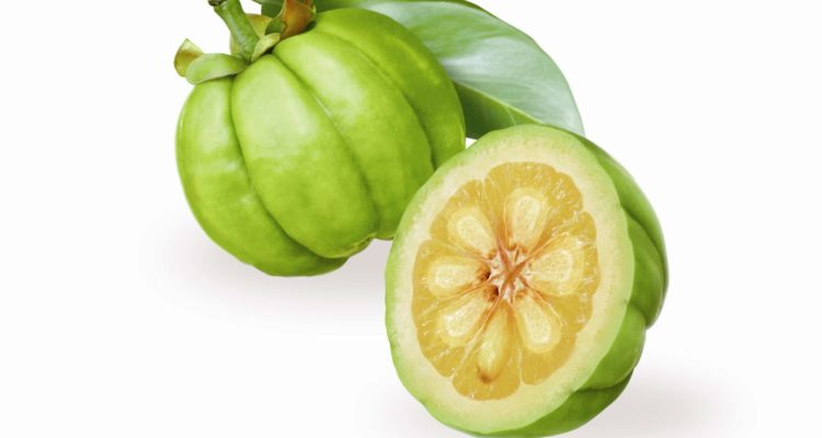 crescita muscolare di garcinia cambogia crescita muscolare di garcinia cambogia