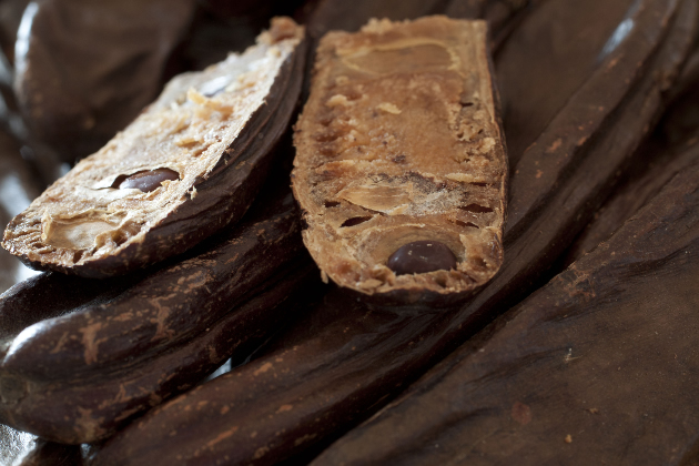 Alfarroba - O chocolate que não engorda? - MundoBoaForma
