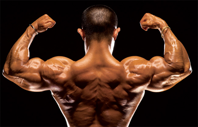 Alimentos para musculos fortes