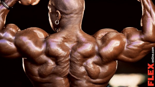 13flex_flex-wheeler_back_970