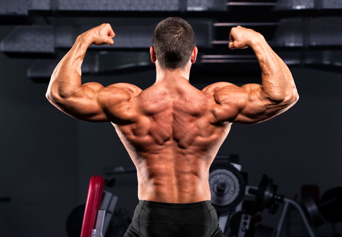como adquirir masa muscular naturalmente