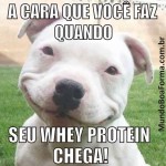 A CARA QUE VOCÊ FAZ QUANDO, SEU WHEY PROTEIN CHEGA!-650