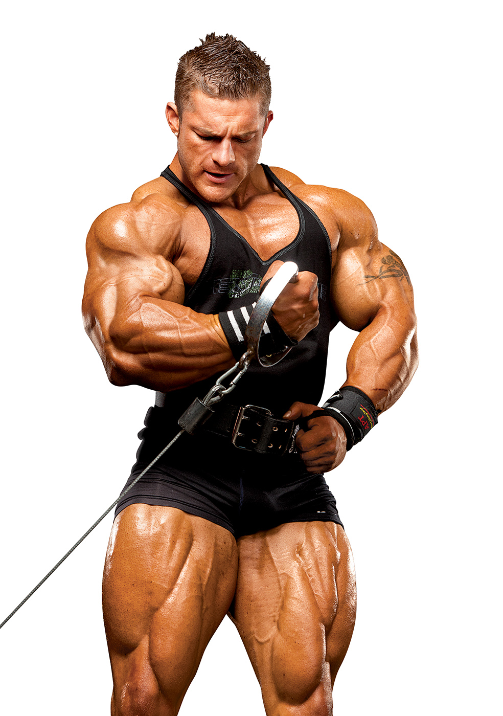 FLEXFlexLewis