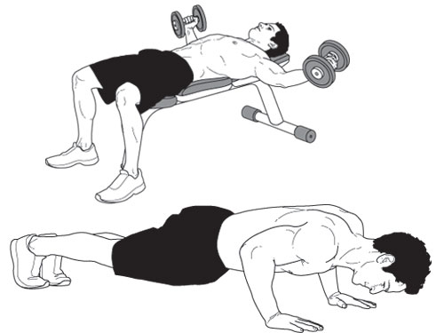 chest-superset