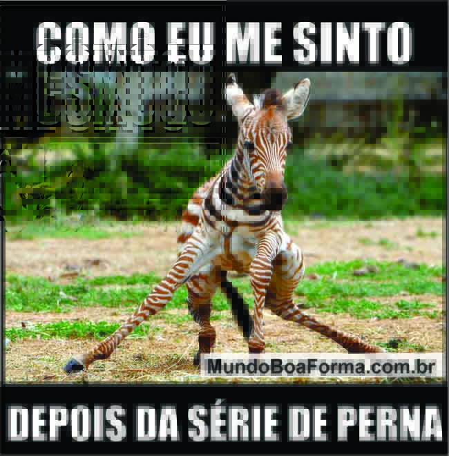 como eu me sinto depois da série de perna-650
