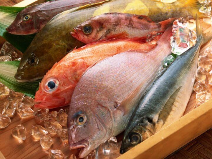 Vitamina b12 alimentos fonte de