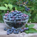 Blueberries