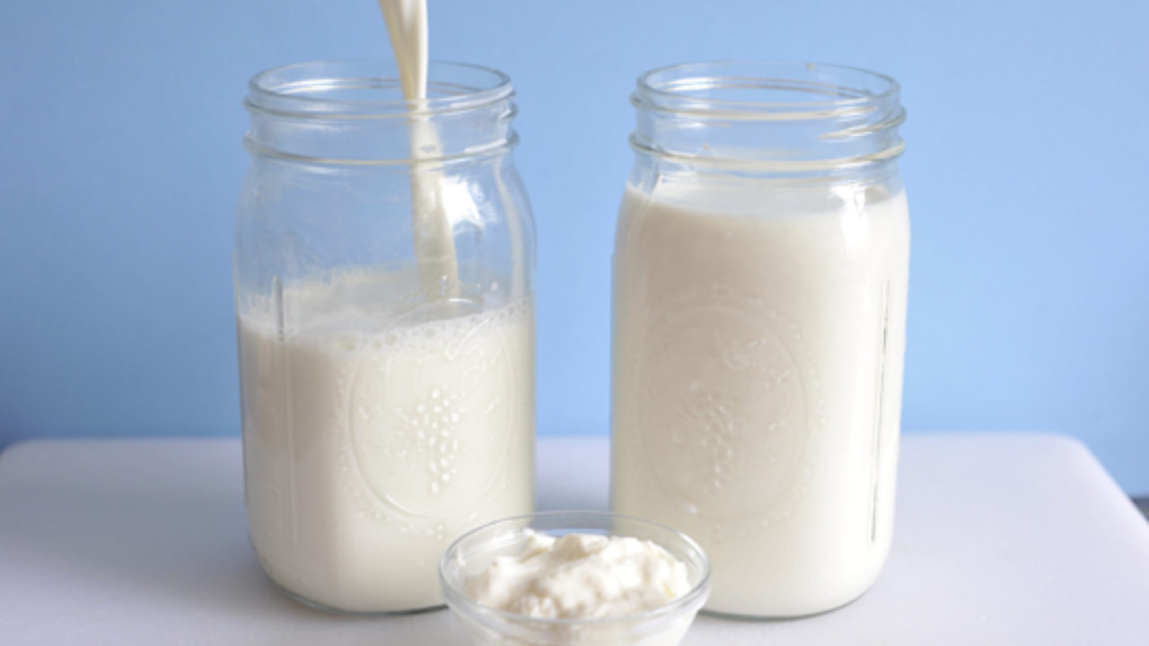 o kefir de leite tem lactose