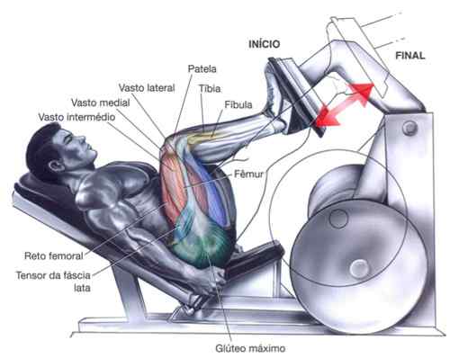 Leg Press 45 - Os 10 maiores erros e como evitá-los - MundoBoaForma