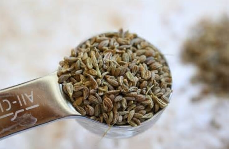 Anise-Seed