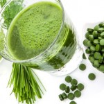 chlorella destaque