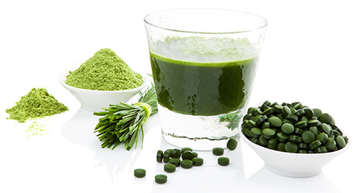 chlorella tipos