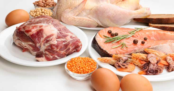 dieta da carne emagrece quantos quilos por semana