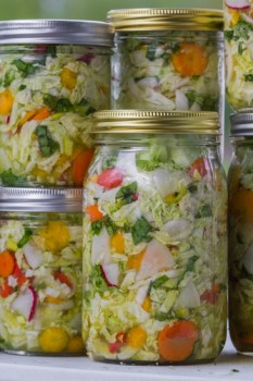 fermented-vegetables