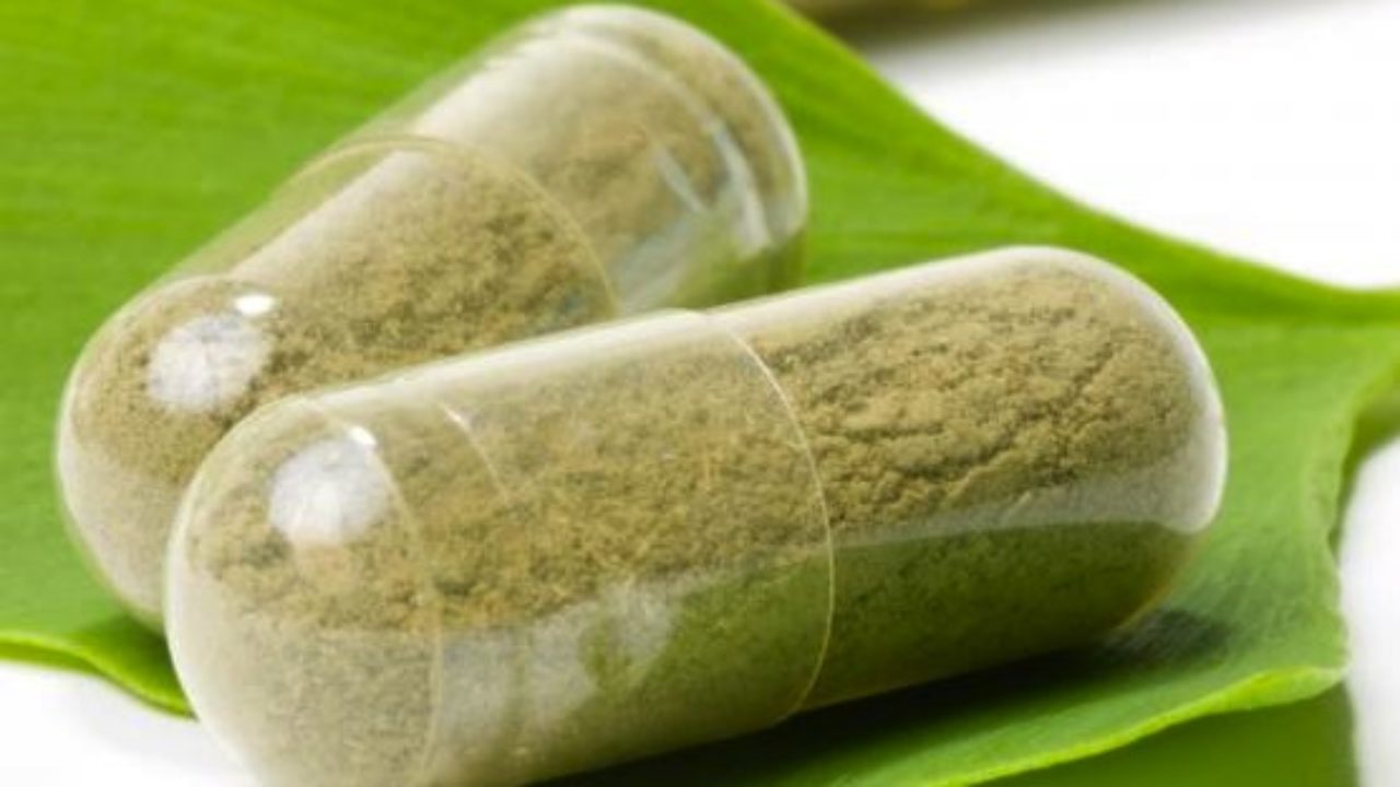 ginkgo biloba en casa o medicina para la diabetes