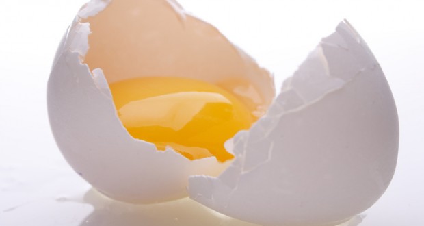 Comer Ovo Cru Faz Mal à Saúde? - MundoBoaForma.com.br