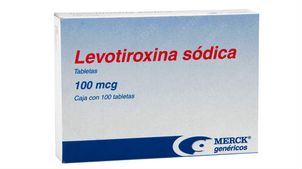 Levotiroxina engorda