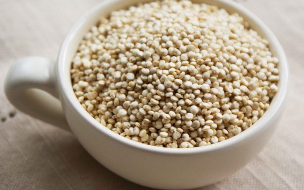 Comer Quinoa Diariamente Pode Salvar Sua Vida Segundo A Universidade De Harvard Mundoboaforma