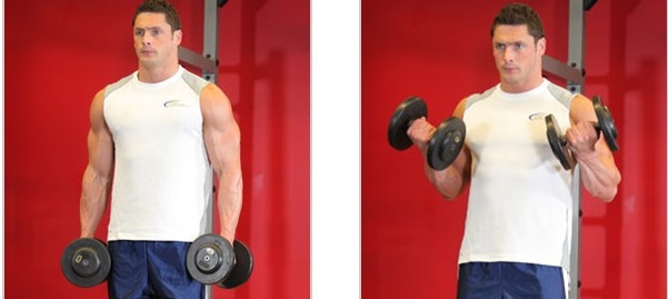 2fboaforma