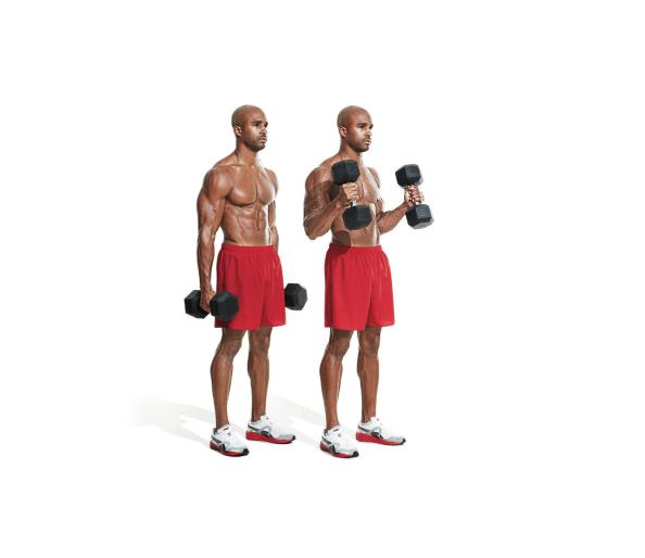 Como aumentar biceps e triceps rapidamente