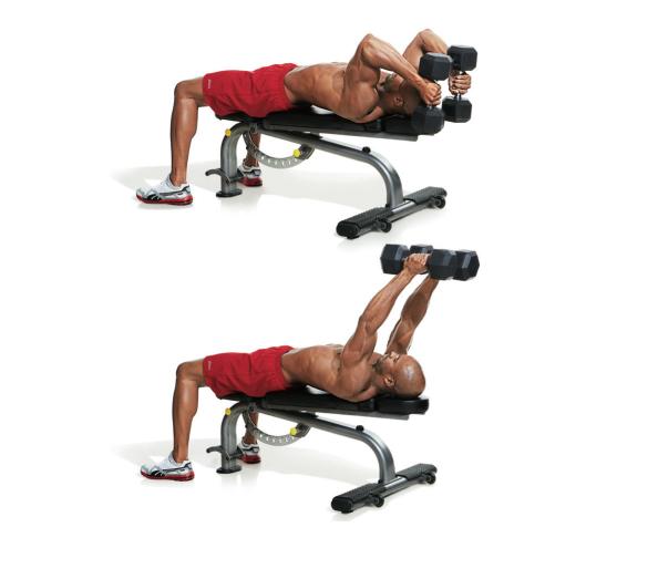 13 Melhores Exercícios para Braços - Casa e Academia - MundoBoaForma