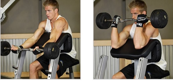 13 Melhores Exercícios para Braços - Casa e Academia - MundoBoaForma