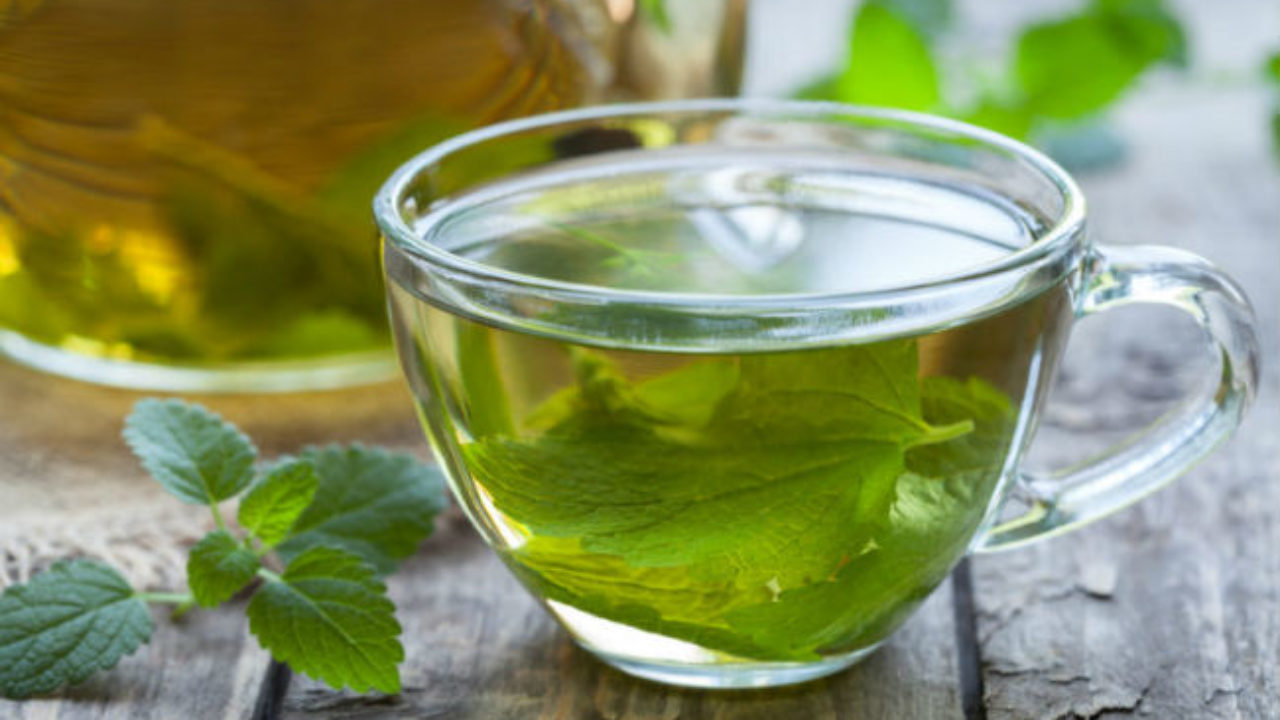 Cha de oregano para candidiase