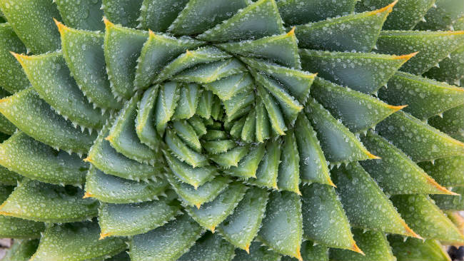 5 Imagens Relaxantes para Aliviar o Estresse Imediatamente - MundoBoaForma