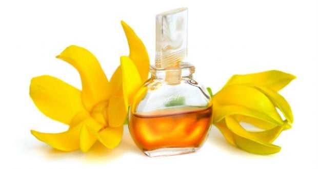 Ylang-ylang