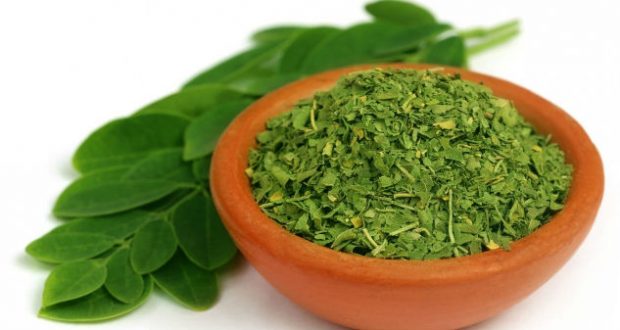 Chá de Moringa Emagrece? Para Que Serve, Benefícios e Como Fazer ...