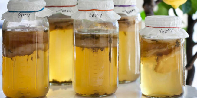 Kombucha beneficios