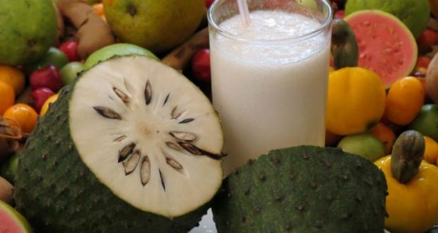 9 Receitas de Suco de Graviola - Benefícios e Como Fazer ...