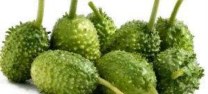 3 Benefícios do maxixe para diabetes - Como usar e dicas - MundoBoaForma