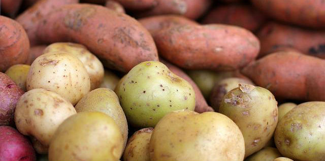 Batata Doce ou Batata Inglesa Para Emagrecer e Massa Muscular? -  MundoBoaForma
