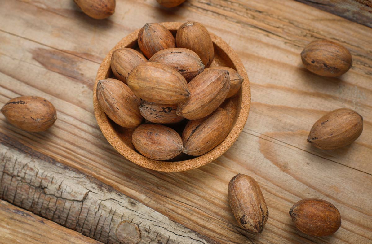 12 benefícios das nozes pecan Para que serve e propriedades