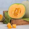 melao cantalupo cantaloupe japonês