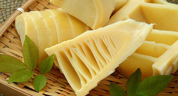 7 Receitas de Broto de Bambu - Como Fazer e Benefícios - MundoBoaForma ...