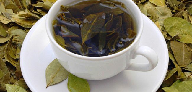 Chá de folha de abacate