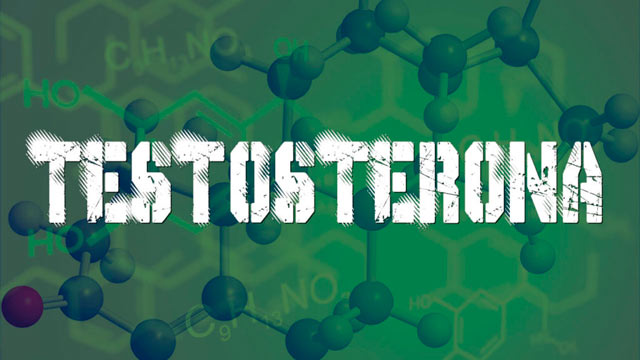 testosterona