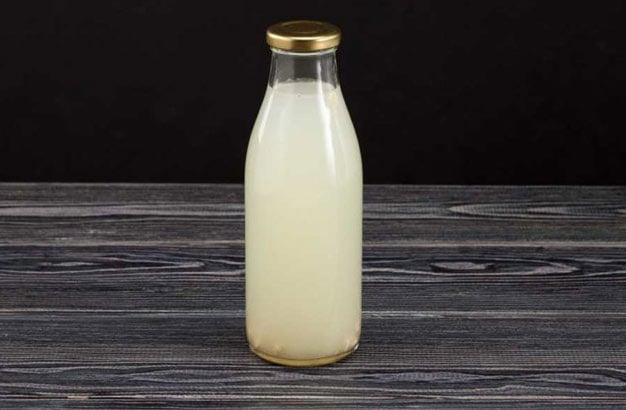 kefir de água