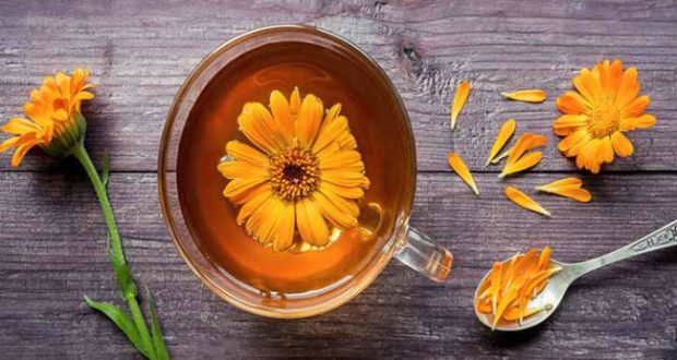 12 Benefícios do Chá de Calêndula - Para Que Serve e Como Fazer ...