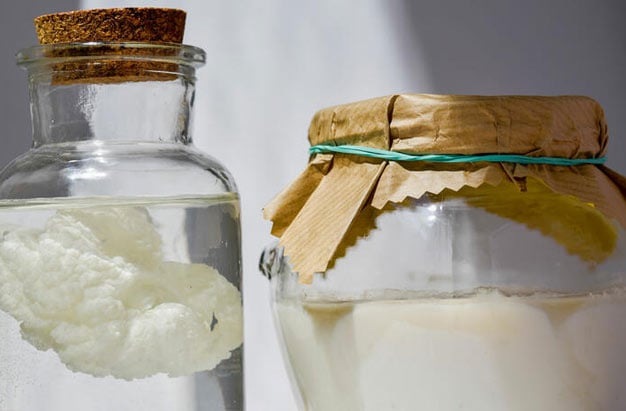 Kefir de água: o que é, benefícios, como cuidar e para que serve - MundoBoaForma