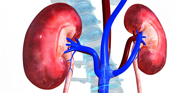 Dieta para insuficiencia renal terminal