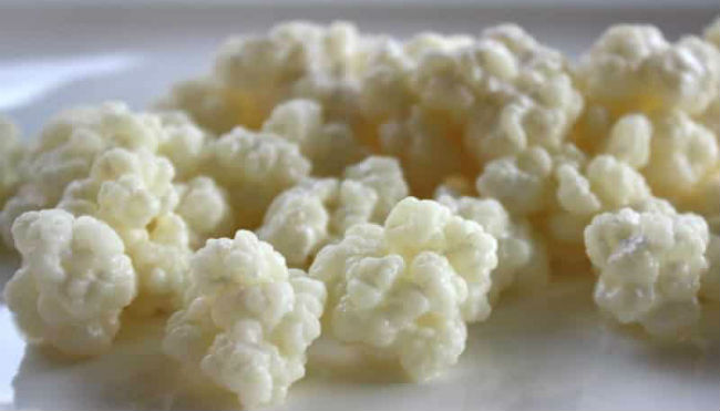 Kefir