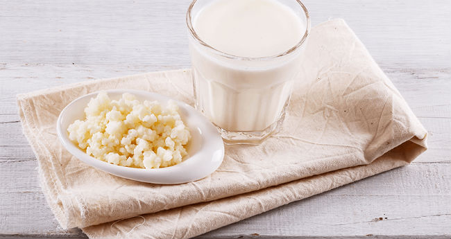O que e kefir bichinho do iogurte